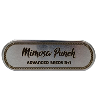 Mimosa Punch > Advanced Seeds | Graines Féminisées  |  Hybride