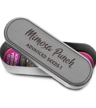 Mimosa Punch > Advanced Seeds