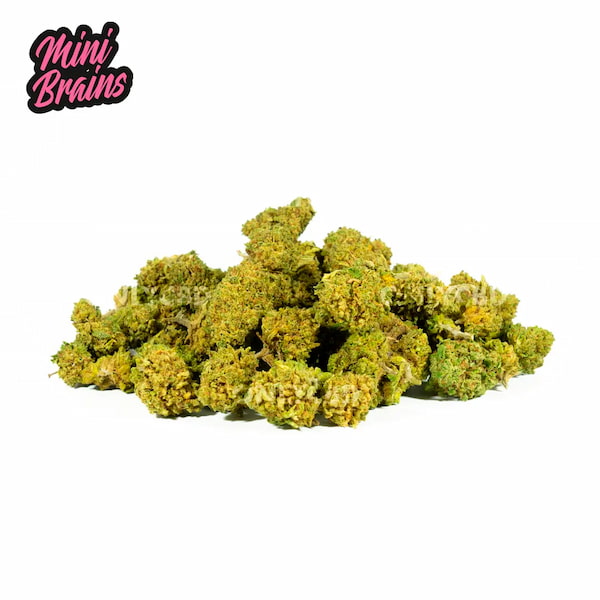 Mini Buds CBD BZ1 > Only CBD | Flores de CBD