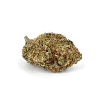 Mint Candy > Silent Seeds | Feminized Cannabis   |  Hybrid