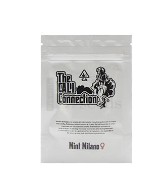 Mint Milano > The Cali Connection | Feminized Marijuana   |  hybrid