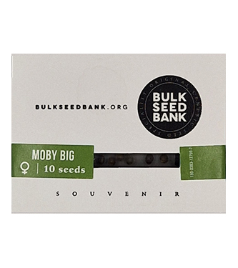 Moby Big > Bulk Seed Bank | Graines Féminisées  |  Hybride