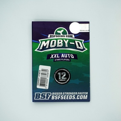 Moby D XXL Auto semilla > BSF Seeds | Semillas de marihuana autoflorecientes  |  Sativa