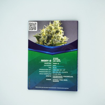 Moby D XXL Auto semilla > BSF Seeds | Semillas de marihuana autoflorecientes  |  Sativa