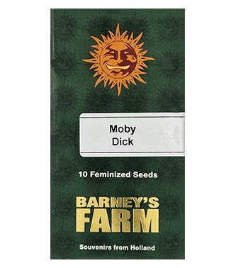 Moby Dick > Barneys Farm | Semillas feminizadas  |  Sativa