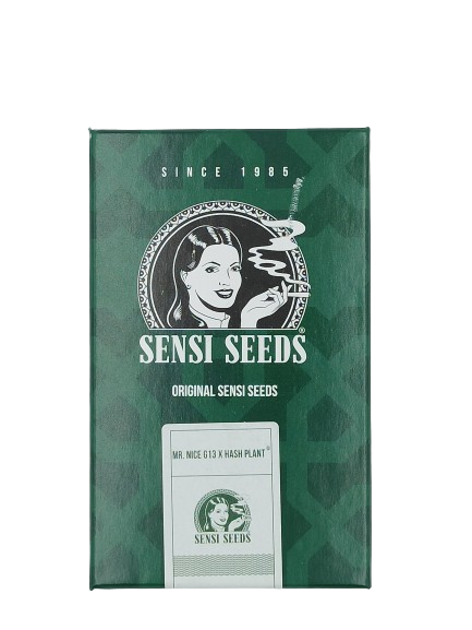 Mr. Nice G13 X Hash Plant > Sensi Seeds | Reguläre Hanfsamen  |  Indica