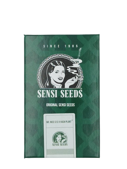 Mr. Nice G13 X Hash Plant > Sensi Seeds | Graines Normal  |  Indica