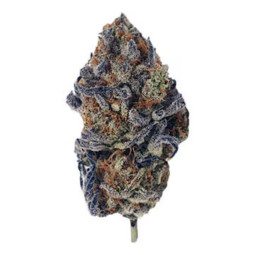 Muddy Waters > Empire Seeds | Feminized Cannabis   |  Indica