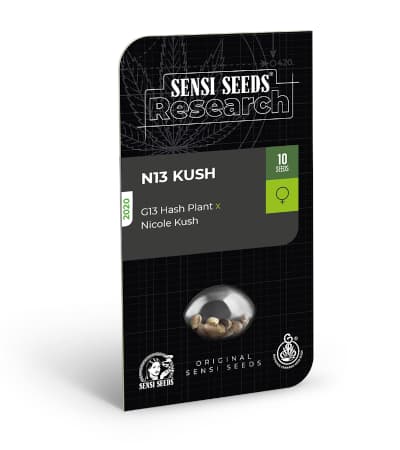 N13 KUSH > Sensi Seeds | Graines Féminisées  |  Indica