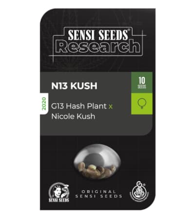 N13 KUSH > Sensi Seeds | Graines Féminisées  |  Indica