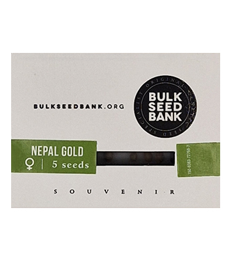 Nepal Gold > Bulk Seed Bank | Feminisierte Hanfsamen  |  Indica