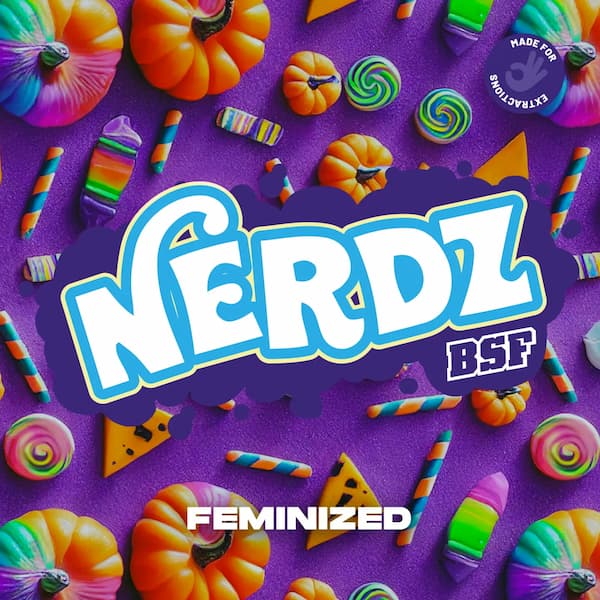 Nerdz Seed > BSF Seeds | Feminized Cannabis   |  Hybrid