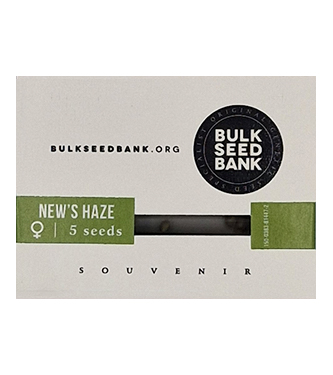 New\'s Haze > Bulk Seed Bank | Graines Féminisées  |  Sativa