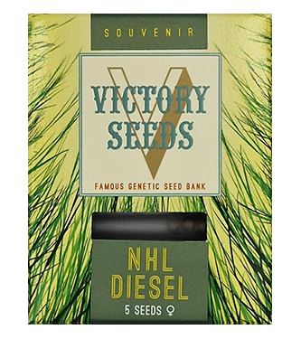 NHL Diesel > Victory Seeds | Feminisierte Hanfsamen  |  Sativa