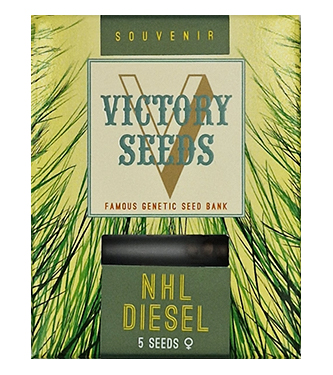 NHL Diesel > Victory Seeds | Feminized Marijuana   |  Sativa