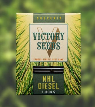 NHL Diesel > Victory Seeds | Feminisierte Hanfsamen  |  Sativa