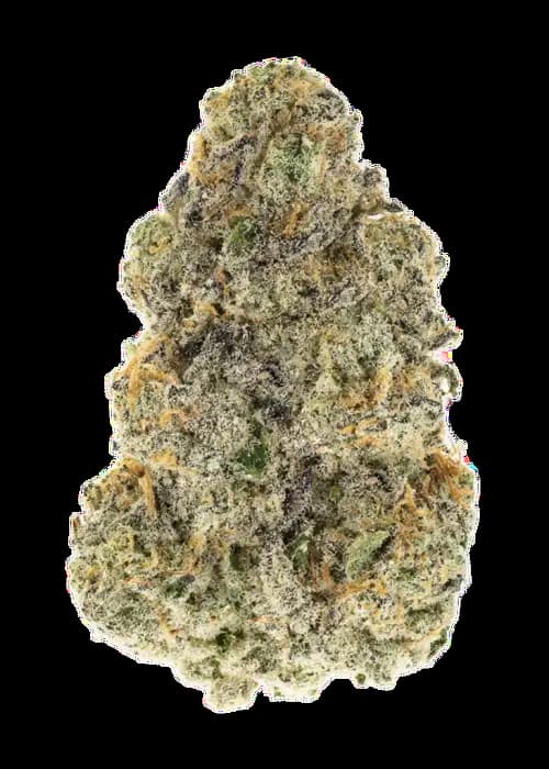 Night on Earth Seed > Mamiko Seeds | Feminized Cannabis   |  Indica
