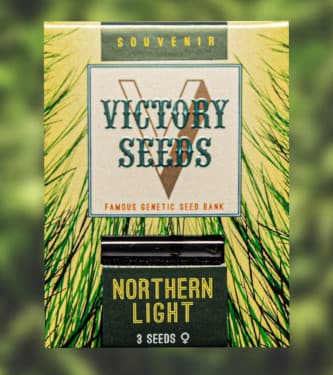 Northern Light > Victory Seeds | Feminisierte Hanfsamen  |  Indica