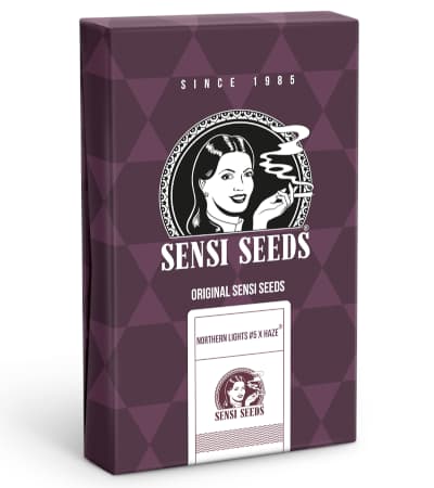 Northern Lights #5 X Haze > Sensi Seeds | Hanfsamen Empfehlungen  |  TOP 10 Sativa Cannabis-Sorten