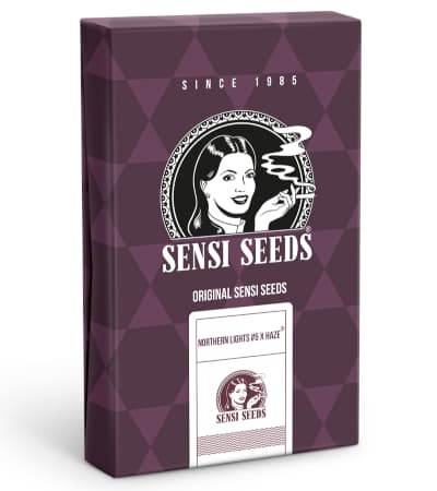 Northern Lights #5 X Haze > Sensi Seeds | NOS RECOMMANDATIONS DE GRAINES DE CANNABIS  |  TOP 10 variété sativa