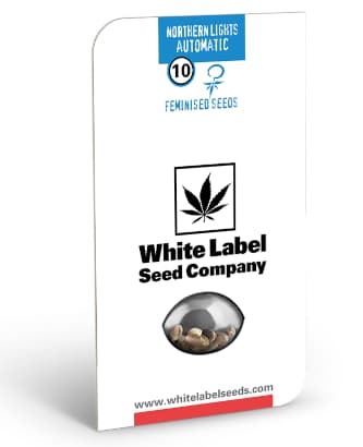 Northern Lights Automatic > White Label Seeds | Autoflowering Cannabis   |  Indica