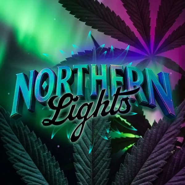 Northern Lights Seed > Barneys Farm | Feminized Cannabis   |  Indica