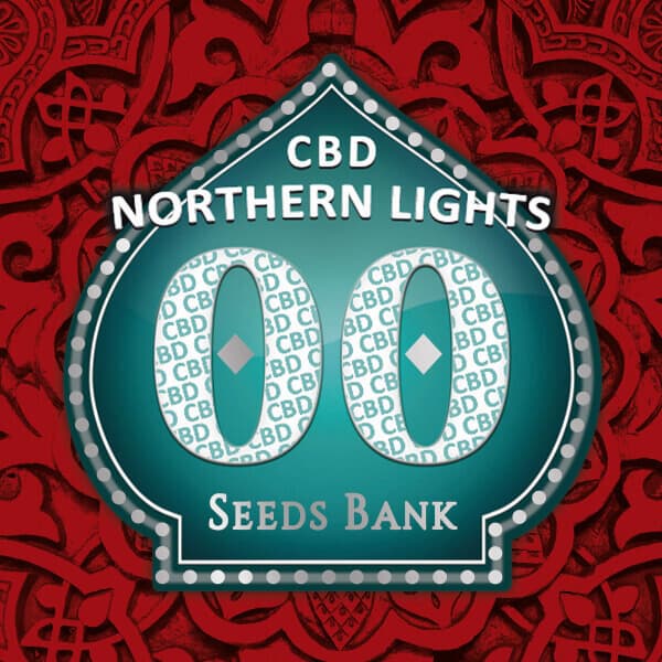 Northern Lights CBD Samen > 00 Seeds | CBD Hanfsamen  |  Indica