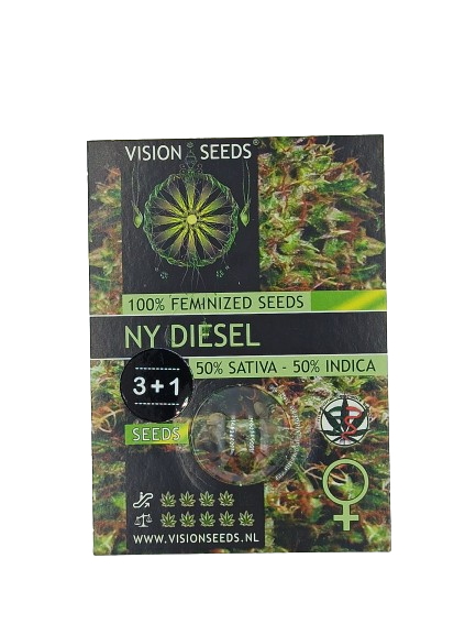 NY Diesel > Vision Seeds | Graines Féminisées  |  Hybride