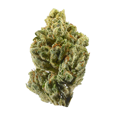 OG Kush > Bulk Seeds | Feminized Marijuana   |  Indica