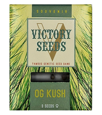 OG Kush > Victory Seeds | Feminisierte Hanfsamen  |  Indica