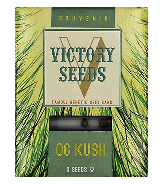 OG Kush > Victory Seeds | Semillas feminizadas  |  Índica