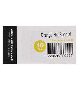 Orange Hill Special > Dutch Passion | Semillas feminizadas  |  Híbrido