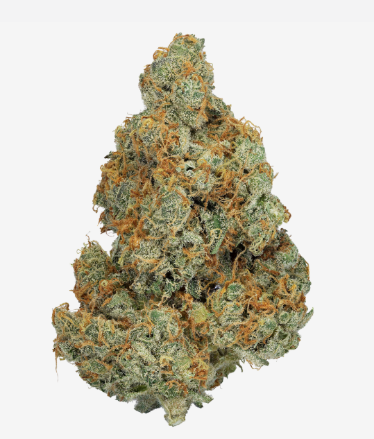 Orange MAC > Tramuntana Seeds | Feminisierte Hanfsamen  |  Hybrid