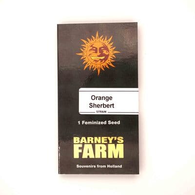 Orange Sherbert > Barneys Farm | Feminisierte Hanfsamen  |  Indica