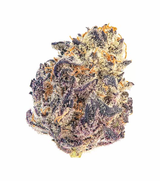 Oreoz x Spritzer graines > Vision Seeds | Graines Féminisées  |  Indica