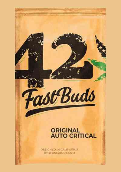 Original Auto Critical > Fast Buds Company | Semillas autoflorecientes  |  Indica