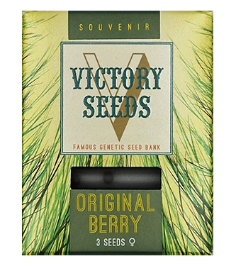 Original Berry > Victory Seeds | Semillas feminizadas  |  Índica