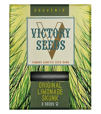 Original Limonade Skunk > Victory Seeds | Feminisierte Hanfsamen  |  Sativa