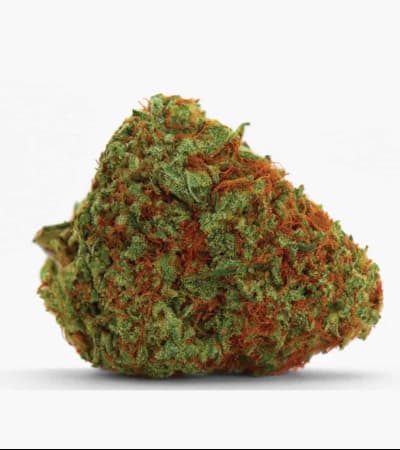 Original Orange Bud > Bulk Seed Bank | Feminized Marijuana   |  hybrid