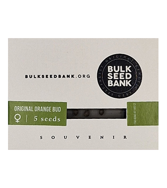 Original Orange Bud > Bulk Seed Bank | Graines Féminisées  |  Hybride