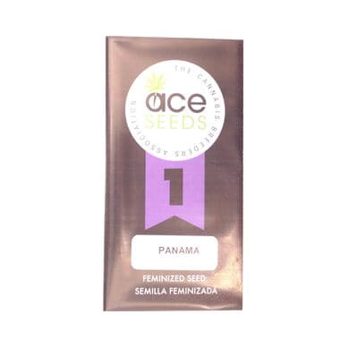 Panama > ACE Seeds | Feminisierte Hanfsamen  |  Sativa