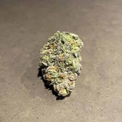 Papaya Sunset > Elev8 Seeds | Feminisierte Hanfsamen  |  Hybrid