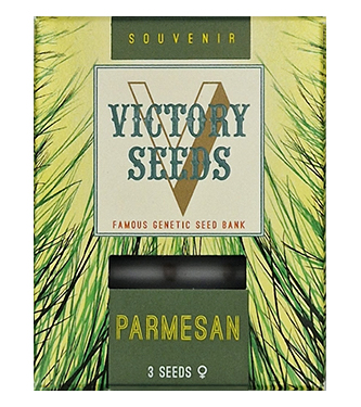 Parmesan > Victory Seeds | Feminized Marijuana   |  Indica