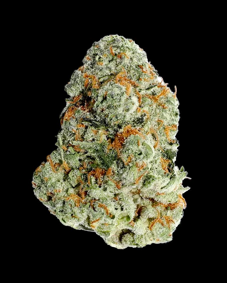 Peach Frosting > Paradise Seeds | Feminized Cannabis   |  Hybrid