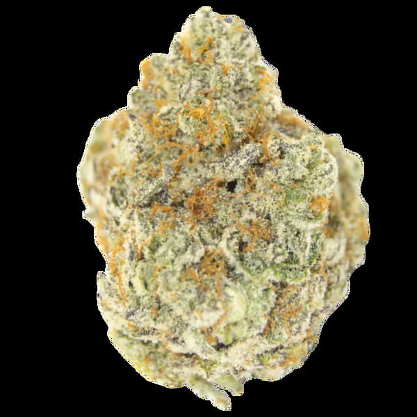 Permanent Whitemarker Seed > Growers Choice | Feminized Cannabis   |  Indica