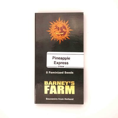 Pineapple Express > Barneys Farm | Feminisierte Hanfsamen  |  Hybrid