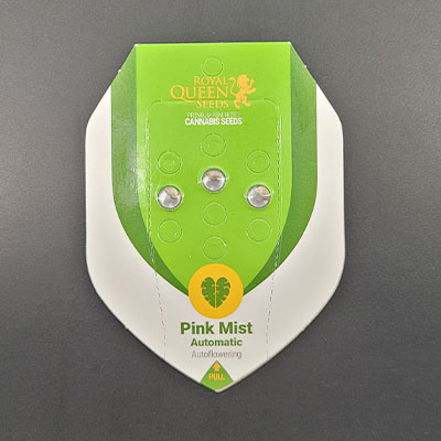 Pink Mist Auto > Royal Queen Seeds | Semillas de marihuana autoflorecientes  |  Híbrido