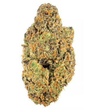 Pink Rozay > Original Sensible Seeds | Feminized Marijuana   |  Indica