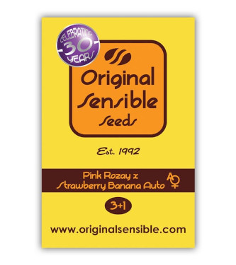 Auto Pink Rozay x Strawberry Banana > Original Sensible Seeds | Semillas autoflorecientes  |  Índica