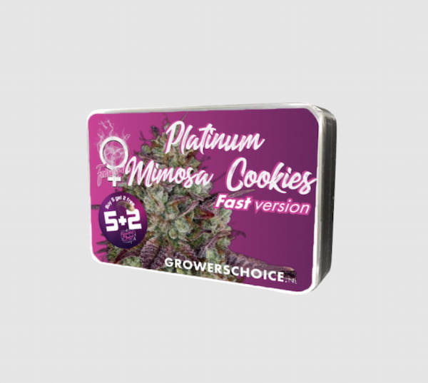 Platinum Mimosa Cookies Fast Seed > Growers Choice | Feminized Cannabis   |  Sativa